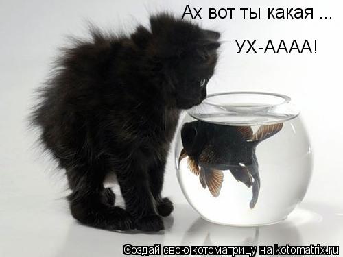 Ах вот ты какая ... УХ-АААА!... Котоматрица: Ах вот ты какая ... УХ-АААА!
