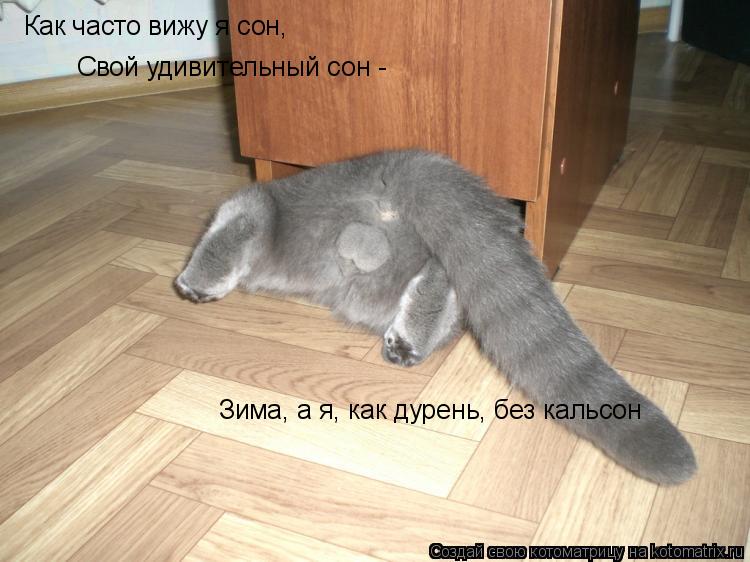 Как часто вижу я сон, Свой удивительный сон - Зима, а я, как дурень, без кальсон... Котоматрица: Как часто вижу я сон, Свой удивительный сон - Зима, а я, как дурень, без кальсон