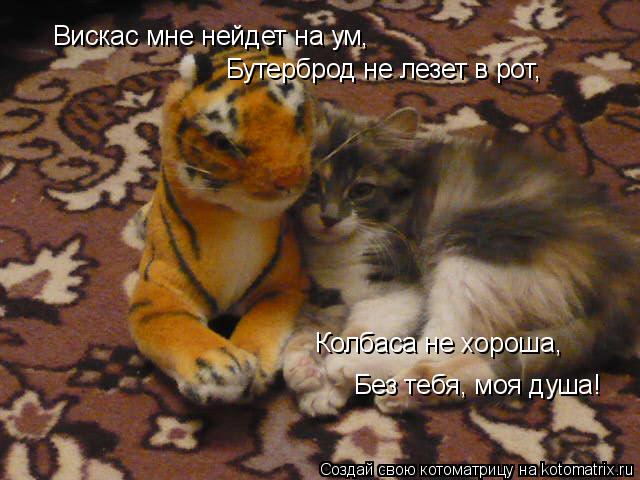 Вискас мне нейдет на ум, Бутерброд не лезет в рот, Колбаса не хороша, Без тебя, моя душа!... Котоматрица: Вискас мне нейдет на ум, Бутерброд не лезет в рот, Колбаса не хороша, Без тебя, моя душа!