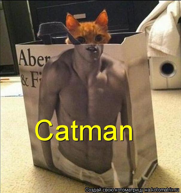 Catman... Котоматрица: Catman
