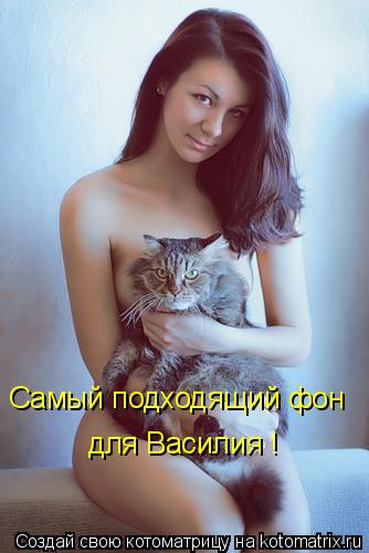 Самый подходящий фон для Василия !... Котоматрица: Самый подходящий фон для Василия !