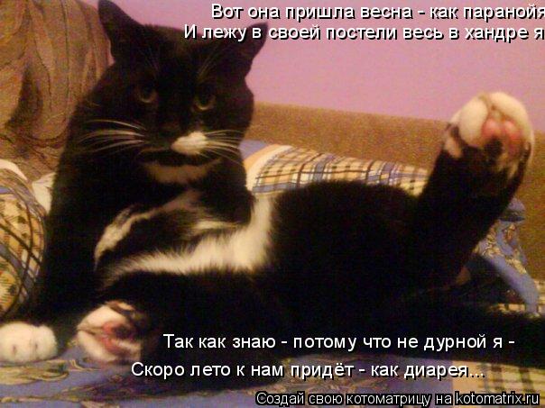 Котоматрица: Вот она пришла весна - как паранойя. И лежу в своей постели весь в хандре я, Так как знаю - потому что не дурной я - Скоро лето к нам придёт - как 