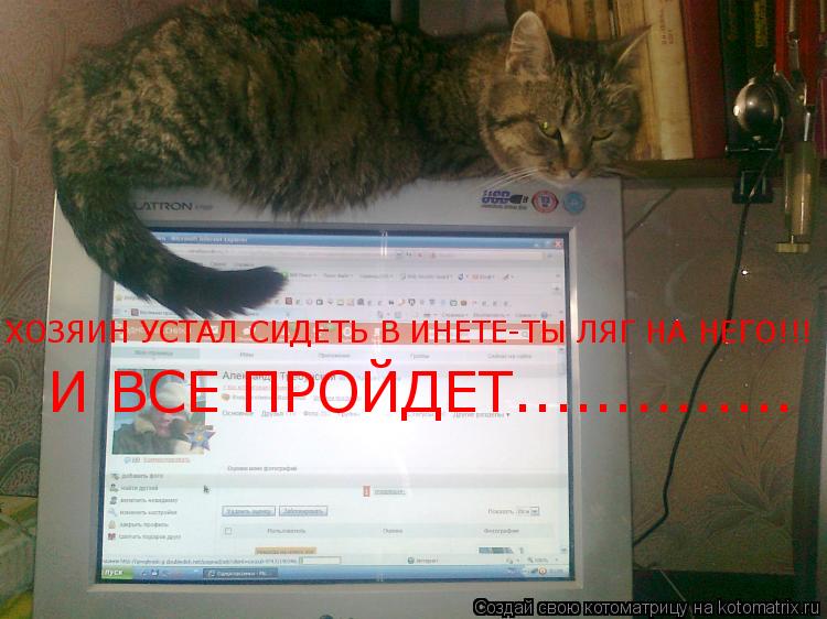 ХОЗЯИН УСТАЛ СИДЕТЬ В ИНЕТЕ-ТЫ ЛЯГ НА НЕГО!!! И ВСЕ ПРОЙДЕТ................. Котоматрица: ХОЗЯИН УСТАЛ СИДЕТЬ В ИНЕТЕ-ТЫ ЛЯГ НА НЕГО!!! И ВСЕ ПРОЙДЕТ..............