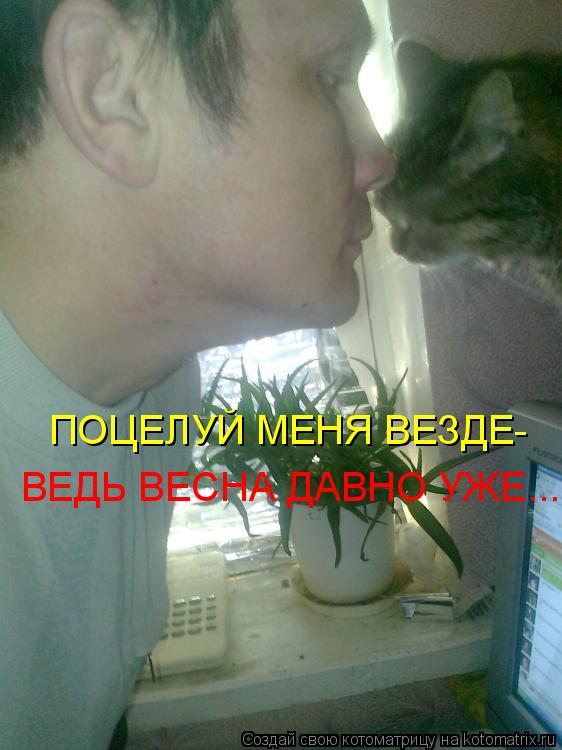 ПОЦЕЛУЙ МЕНЯ ВЕЗДЕ- ВЕДЬ ВЕСНА ДАВНО УЖЕ...... Котоматрица: ПОЦЕЛУЙ МЕНЯ ВЕЗДЕ- ВЕДЬ ВЕСНА ДАВНО УЖЕ...
