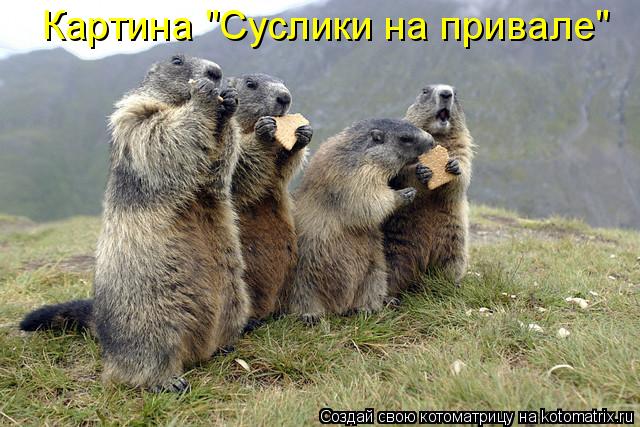 Картина "Суслики на привале"... Котоматрица: Картина "Суслики на привале"
