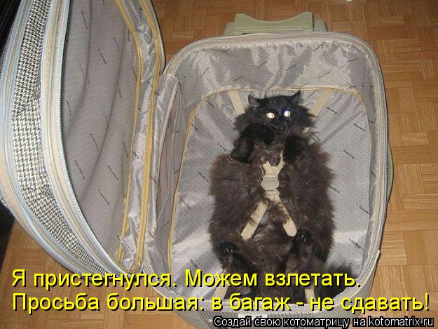 Просьба большая: в багаж - не сдавать! Я пристегнулся. Можем взлетать.... Котоматрица: Просьба большая: в багаж - не сдавать! Я пристегнулся. Можем взлетать.