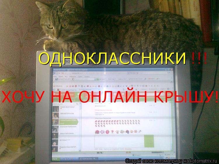 ОДНОКЛАССНИКИ !!! ХОЧУ НА ОНЛАЙН КРЫШУ!!!... Котоматрица: ОДНОКЛАССНИКИ !!! ХОЧУ НА ОНЛАЙН КРЫШУ!!!