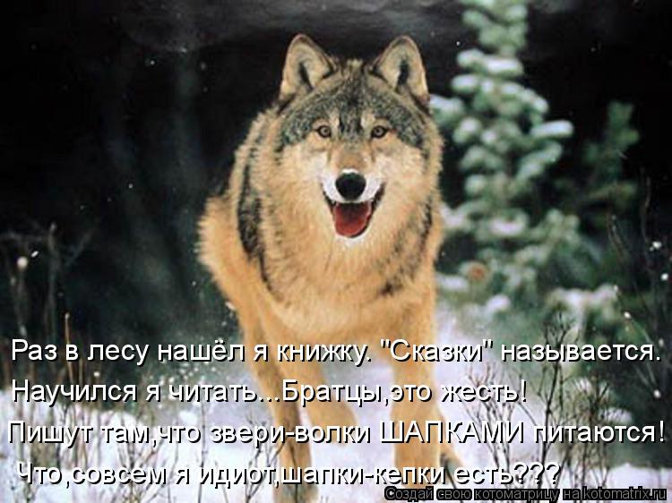 Раз в лесу нашёл я книжку. "Сказки" называется. Научился я читать...Братцы,это жесть! Пишут там,что з... Котоматрица: Раз в лесу нашёл я книжку. "Сказки" называется. Научился я читать...Братцы,это жесть! Пишут там,что звери-волки ШАПКАМИ питаются! Что,совсем я
