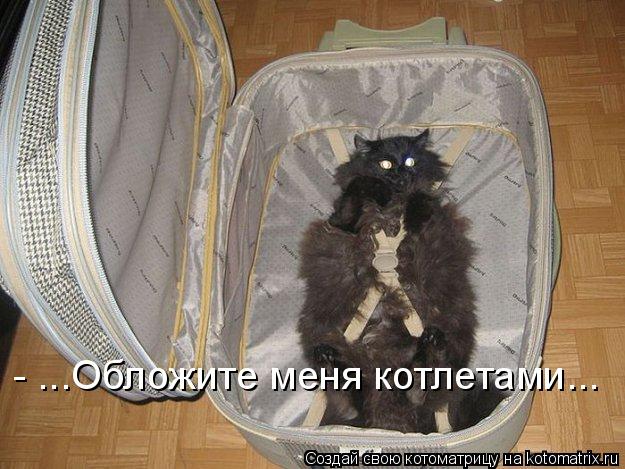 - ...Обложите меня котлетами...... Котоматрица: - ...Обложите меня котлетами...