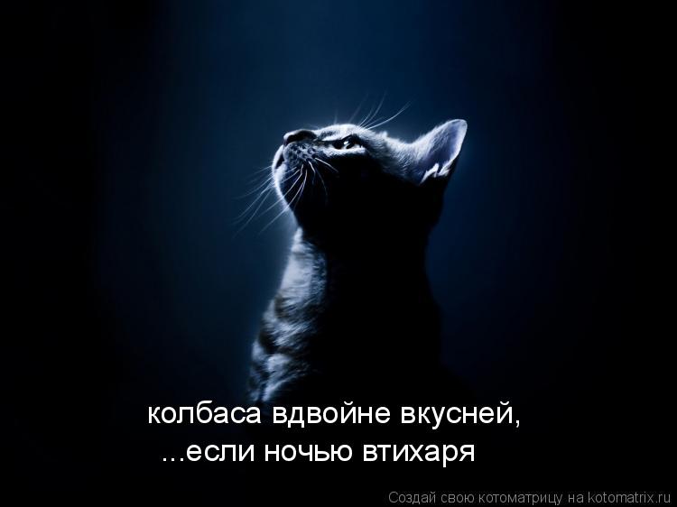 колбаса вдвойне вкусней, ...если ночью втихаря... Котоматрица: колбаса вдвойне вкусней, ...если ночью втихаря