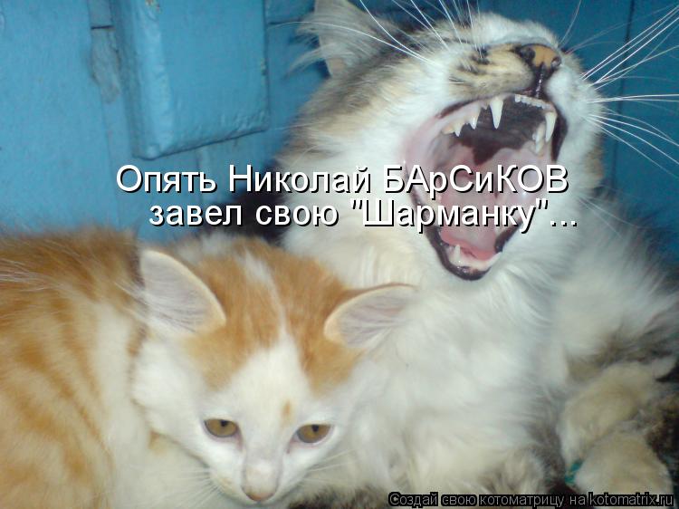 Опять Николай БАрСиКОВ завел свою "Шарманку"...... Котоматрица: Опять Николай БАрСиКОВ завел свою "Шарманку"...