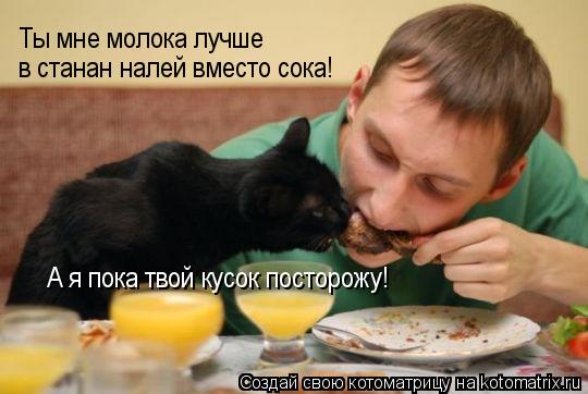 Ты мне молока лучше в станан налей вместо сока! А я пока твой кусок посторожу!... Котоматрица: Ты мне молока лучше в станан налей вместо сока! А я пока твой кусок посторожу!