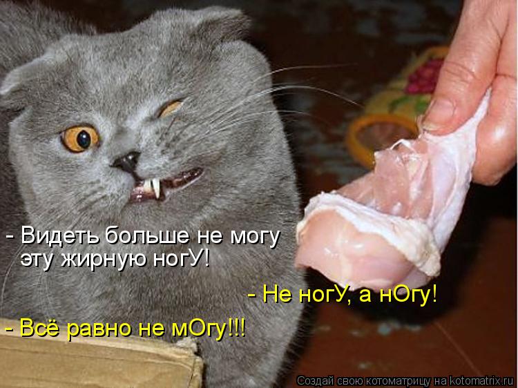 - Видеть больше не могу эту жирную ногУ! - Не ногУ, а нОгу! - Всё равно не мОгу!!!... Котоматрица: - Видеть больше не могу эту жирную ногУ! - Не ногУ, а нОгу! - Всё равно не мОгу!!!