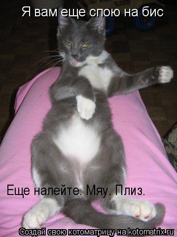 Я вам еще спою на бис Еще налейте. Мяу. Плиз.... Котоматрица: Я вам еще спою на бис Еще налейте. Мяу. Плиз.
