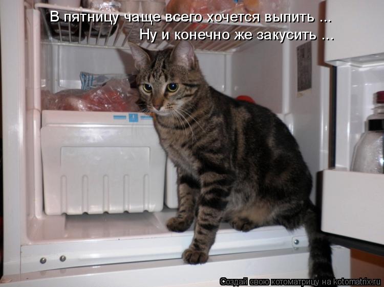 В пятницу чаще всего хочется выпить ... Ну и конечно же закусить ...... Котоматрица: В пятницу чаще всего хочется выпить ... Ну и конечно же закусить ...