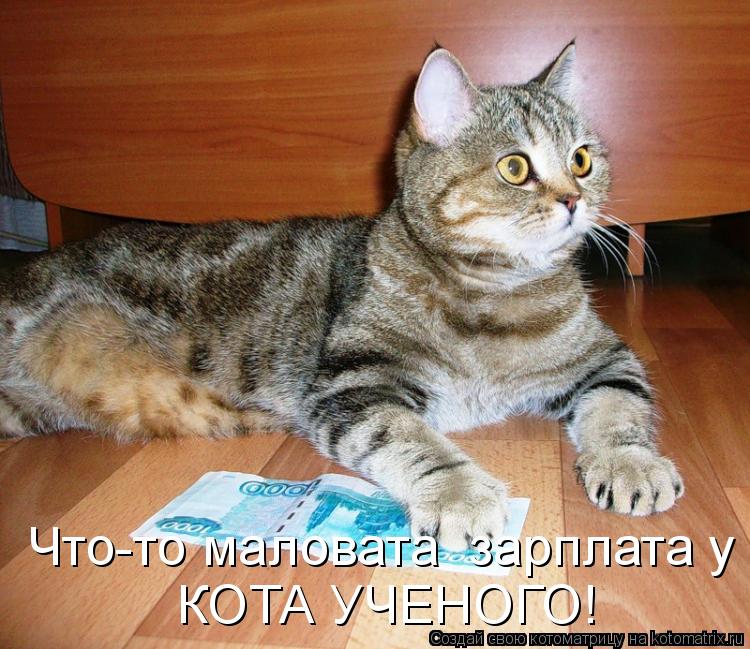 Что-то маловата зарплата у КОТА УЧЕНОГО!... Котоматрица: Что-то маловата зарплата у КОТА УЧЕНОГО!