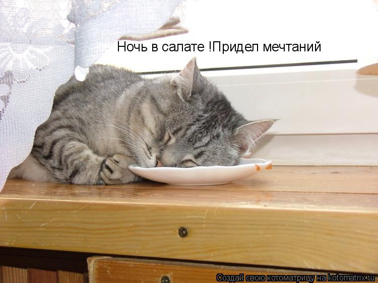 Ночь в салате !Придел мечтаний... Котоматрица: Ночь в салате !Придел мечтаний