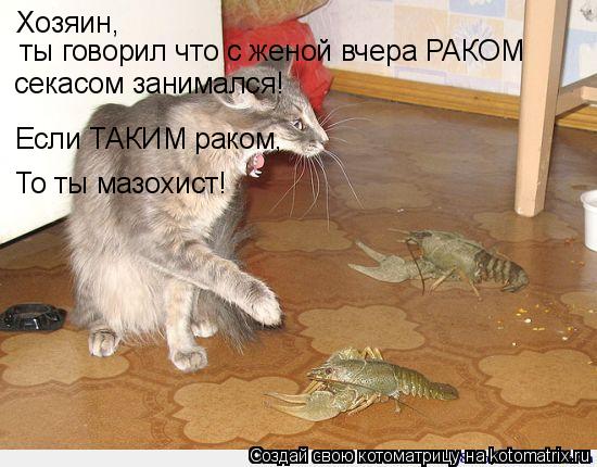 Хозяин, ты говорил что с женой вчера РАКОМ секасом занимался! Если ТАКИМ раком, То ты мазохист!... Котоматрица: Хозяин, ты говорил что с женой вчера РАКОМ секасом занимался! Если ТАКИМ раком, То ты мазохист!