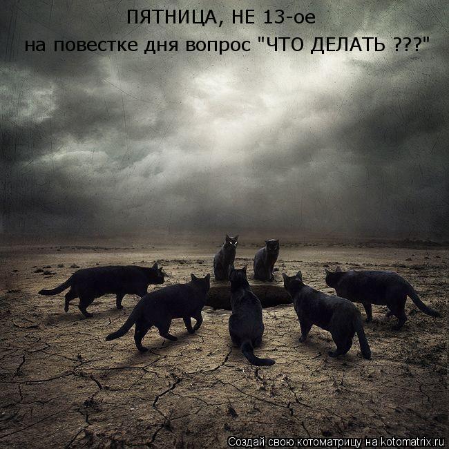 ПЯТНИЦА, НЕ 13-ое на повестке дня вопрос "ЧТО ДЕЛАТЬ ???"... Котоматрица: ПЯТНИЦА, НЕ 13-ое на повестке дня вопрос "ЧТО ДЕЛАТЬ ???"