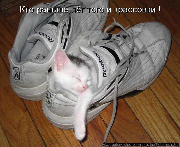Кто раньше лёг того и крассовки !... Котоматрица: Кто раньше лёг того и крассовки !