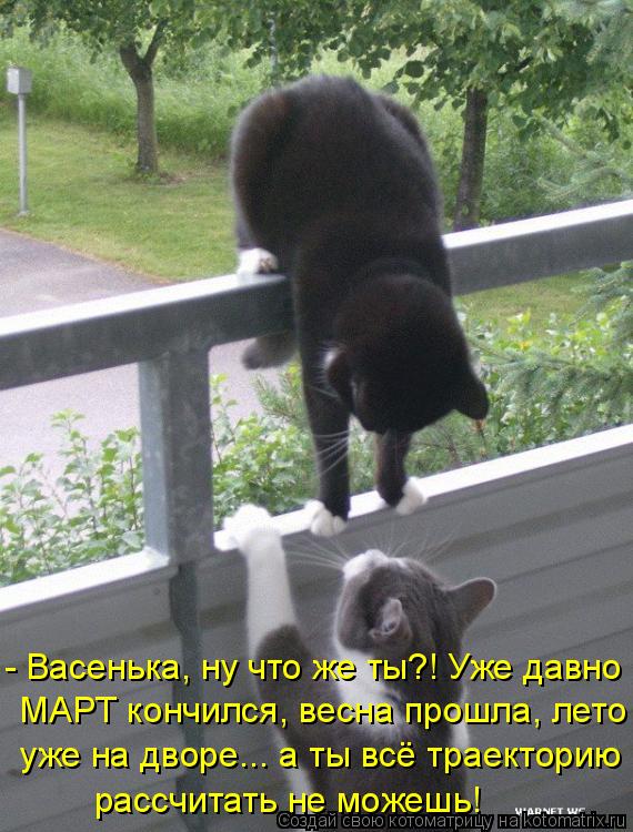 - Васенька, ну что же ты?! Уже давно МАРТ кончился, весна прошла, лето уже на дворе... а ты всё тра... Котоматрица: - Васенька, ну что же ты?! Уже давно МАРТ кончился, весна прошла, лето уже на дворе... а ты всё траекторию рассчитать не можешь!