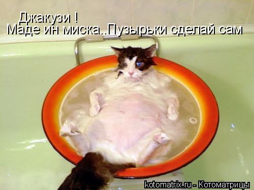 Джакузи ! Маде ин миска..Пузырьки сделай сам... Котоматрица: Джакузи ! Маде ин миска..Пузырьки сделай сам