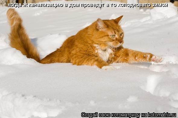 когда ж канализацию в дом проведут а то холодновато зимой... Котоматрица: когда ж канализацию в дом проведут а то холодновато зимой