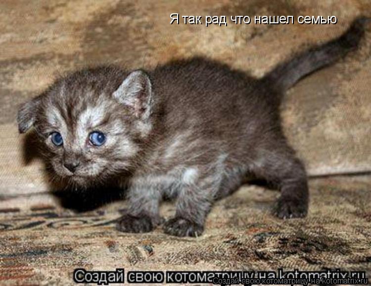 Я так рад что нашел семью... Котоматрица: Я так рад что нашел семью