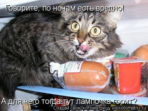 Говорите, по ночам есть вредно! А для чего тогда тут лампочка горит?... Котоматрица: Говорите, по ночам есть вредно! А для чего тогда тут лампочка горит?