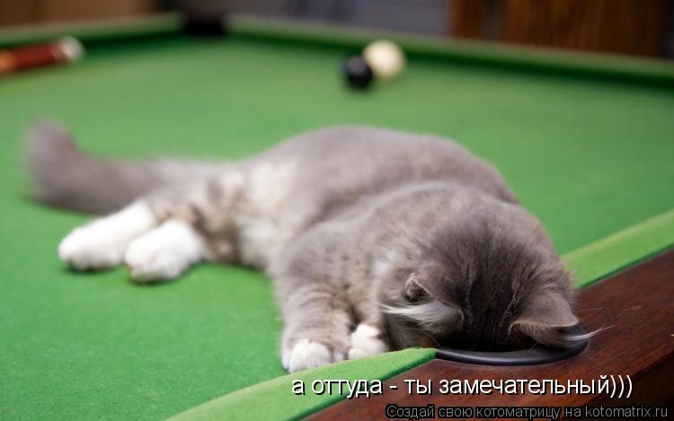 а оттуда - ты замечательный)))... Котоматрица: а оттуда - ты замечательный)))