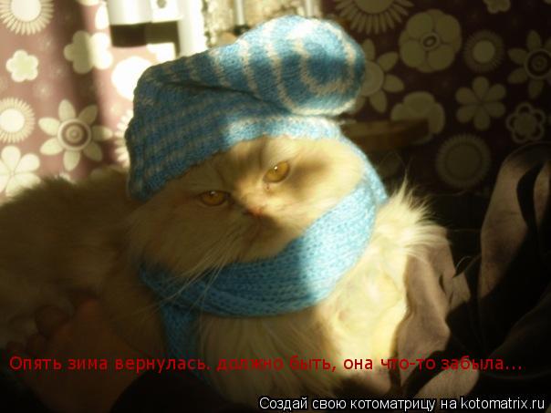 Oпять зима вернулась. должно быть, она что-то забыла...... Котоматрица: Oпять зима вернулась. должно быть, она что-то забыла...