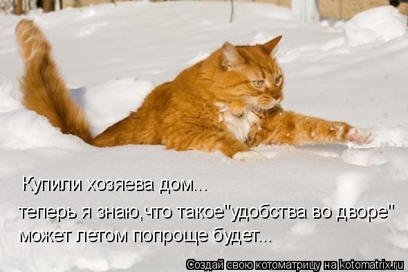 Купили хозяева дом... теперь я знаю,что такое"удобства во дворе" может летом попроще будет...... Котоматрица: Купили хозяева дом... теперь я знаю,что такое"удобства во дворе" может летом попроще будет...