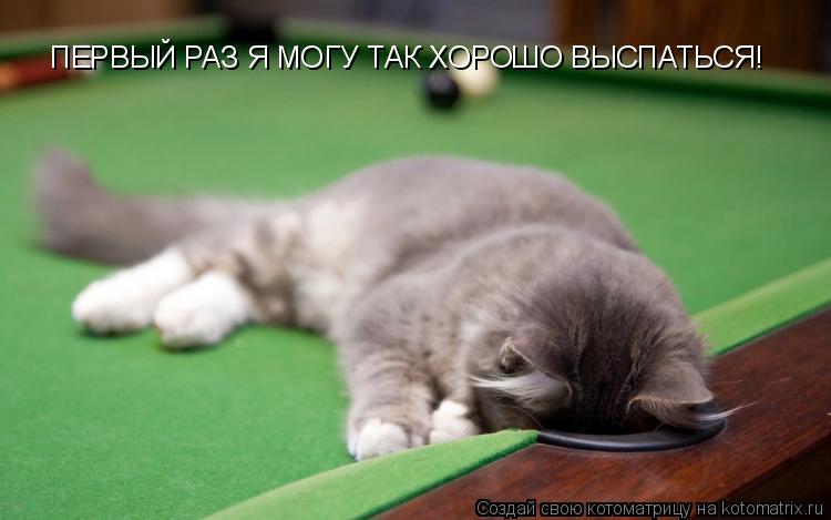 ПЕРВЫЙ РАЗ Я МОГУ ТАК ХОРОШО ВЫСПАТЬСЯ!... Котоматрица: ПЕРВЫЙ РАЗ Я МОГУ ТАК ХОРОШО ВЫСПАТЬСЯ!