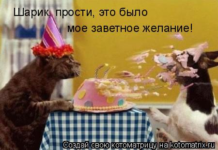 Котоматрица: Шарик, прости, это было мое заветное желание!