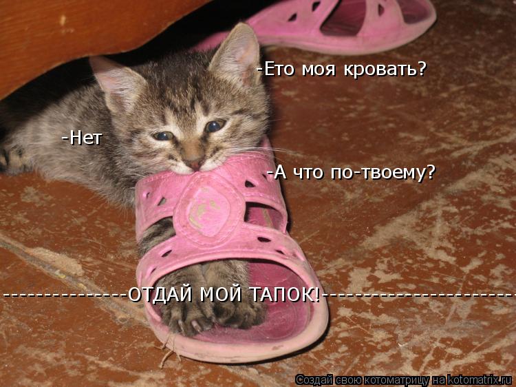 Котоматрица: -Ето моя кровать? -Нет -А что по-твоему? ---------------ОТДАЙ МОЙ ТАПОК!-------------------------------------------------