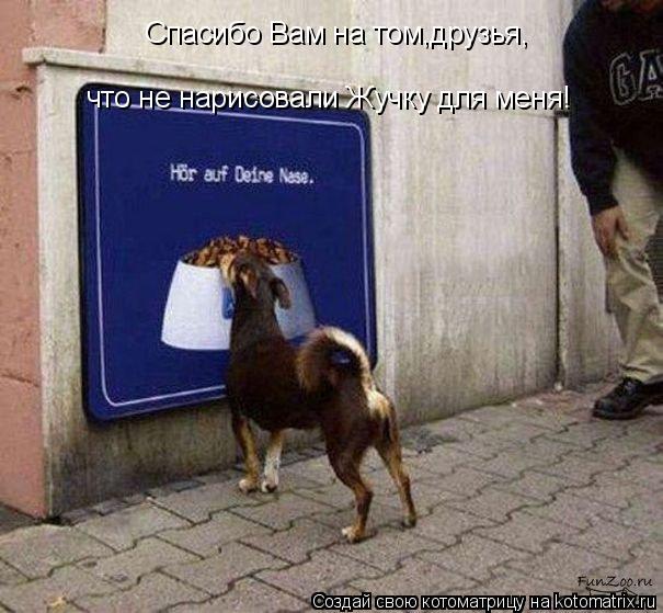 Котоматрица: Спасибо Вам на том,друзья, что не нарисовали Жучку для меня!