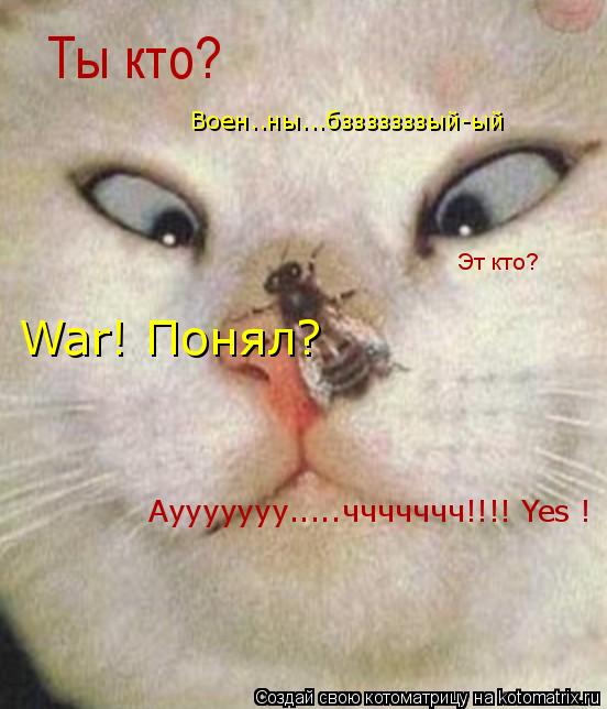 Ты кто? Воен..ны...бзззззззый-ый Эт кто? War! Понял? Аууууууу.....ччччччч!!!! Yes !... Котоматрица: Ты кто? Воен..ны...бзззззззый-ый Эт кто? War! Понял? Аууууууу.....ччччччч!!!! Yes !