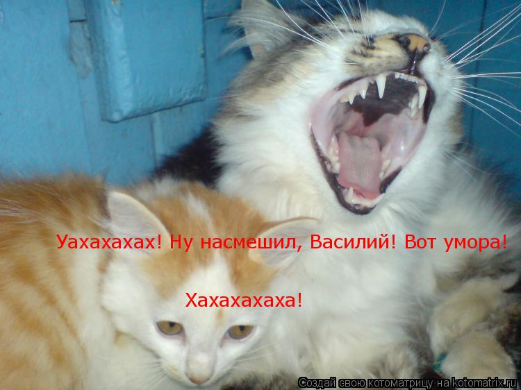 Уахахахах! Ну насмешил, Василий! Вот умора! Хахахахаха!... Котоматрица: Уахахахах! Ну насмешил, Василий! Вот умора! Хахахахаха!