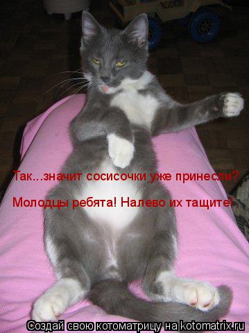 Так...значит сосисочки уже принесли? Молодцы ребята! Налево их тащите!... Котоматрица: Так...значит сосисочки уже принесли? Молодцы ребята! Налево их тащите!