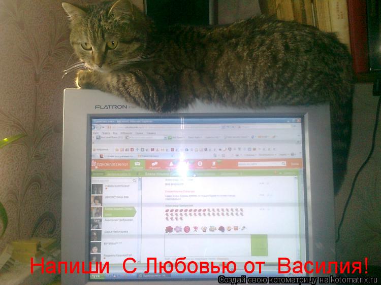 Напиши С Любовью от Василия!... Котоматрица: Напиши С Любовью от Василия!