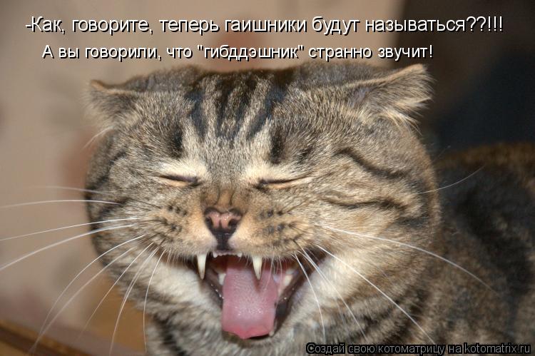 -Как, говорите, теперь гаишники будут называться??!!! А вы говорили, что "гибддэшник" странно звучит!... Котоматрица: -Как, говорите, теперь гаишники будут называться??!!! А вы говорили, что "гибддэшник" странно звучит!