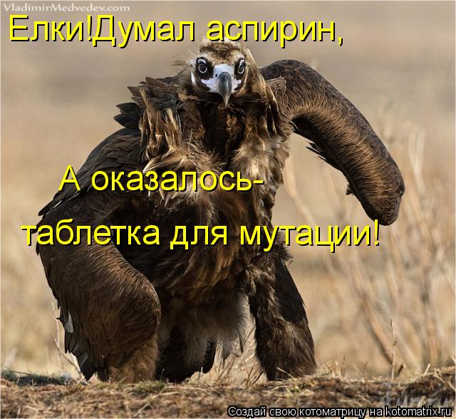 Котоматрица: Елки!Думал аспирин, А оказалось- таблетка для мутации!