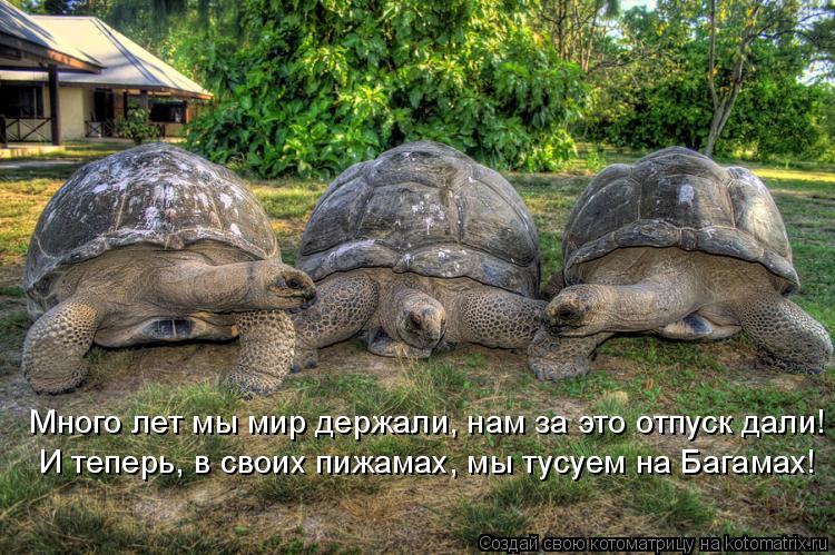 Много лет мы мир держали, нам за это отпуск дали! И теперь, в своих пижамах, мы тусуем на Багамах!... Котоматрица: Много лет мы мир держали, нам за это отпуск дали! И теперь, в своих пижамах, мы тусуем на Багамах!