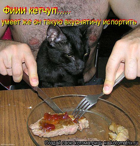Котоматрица: Фиии кетчуп..... Фиии кетчуп..... умеет же он такую вкуснятину испортить  умеет же он такую вкуснятину испортить