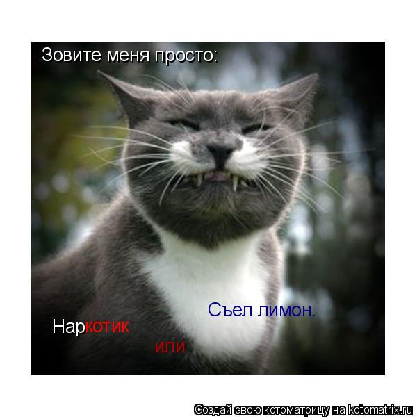 Котоматрица: Зовите меня просто: Нар котик или  Съел лимон.