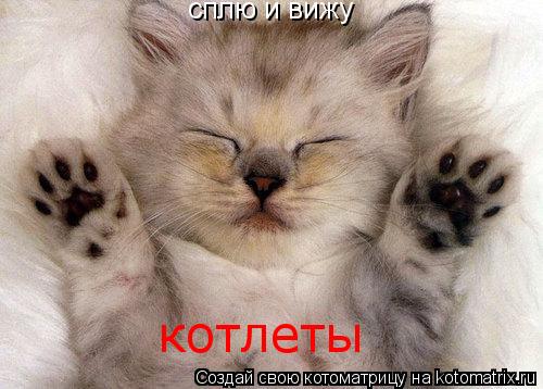 Котоматрица: сплю и вижу котлеты