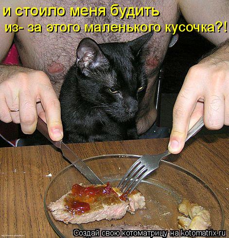 Котоматрица: и стоило меня будить  из- за этого маленького кусочка?!