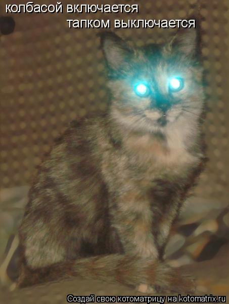 Котоматрица: колбасой включается  тапком выключается
