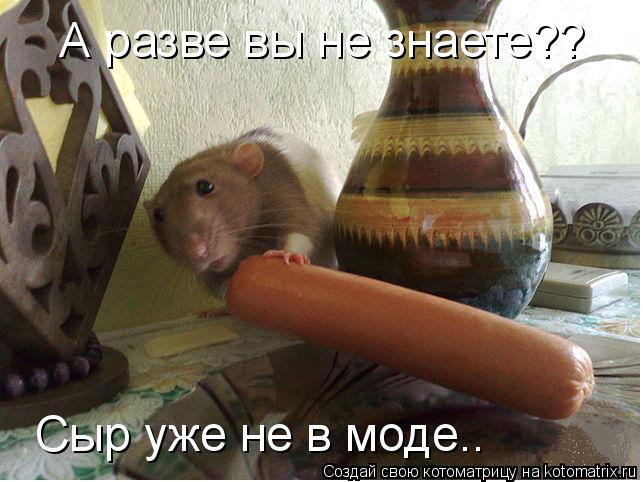 Котоматрица: А разве вы не знаете?? Сыр уже не в моде..