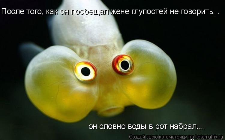 Котоматрица: После того, как он пообещал жене глупостей не говорить, . он словно воды в рот набрал....